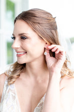 Load image into Gallery viewer, Crystal Drop Earrings - Gold