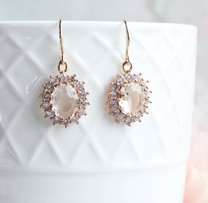 Clear Glass Earrings